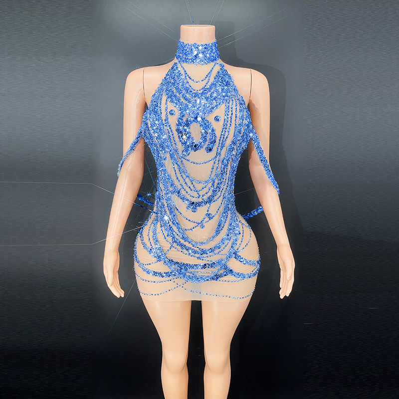 Sexy funkelnde silberne Ballkl – Embroidery Skirt Bewertung und Preis